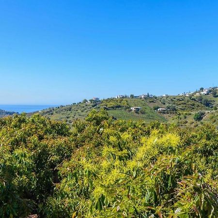 Villa Javier De Frigiliana By Ruralidays Buitenkant foto